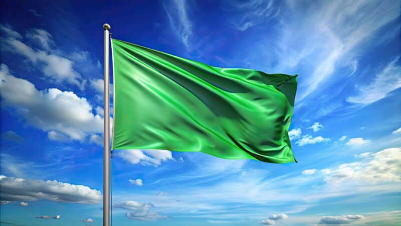 Green flags e outros termos em inglês: sinais positivos para um relacionamento saudável!